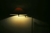 Swedish Adjustable Floor Lamp in Brass Plated Metal from Cottex, 1970s