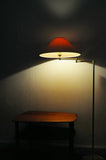 Swedish Adjustable Floor Lamp in Brass Plated Metal from Cottex, 1970s