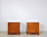 Danish Art Deco Pair of Nightstands or Small Cabinets, 1930s