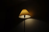 Danish Brass Floor Lamp with Le Klint Shade