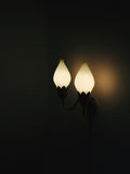 Fog & Mørup 2-Arm Brass and Opaline Glass Tulip Wall Lamp