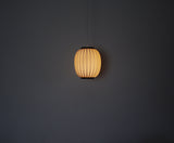 Bojan Pendant Lamp by Lars Eiler Schiøler for Hoyrup Light, 1970s