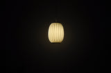 Large Bojan Pendant Lamp by Lars Eiler Schiøler for Hoyrup Light, 1970s