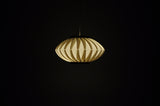 Anemone Pendant Lamp by Lars Eiler Schiøler for Hoyrup Light, 1970s