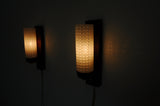 Danish Modern Rosewood and Glass Wall Sconce from Lyfa