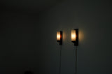 Danish Modern Rosewood and Glass Wall Sconce from Lyfa