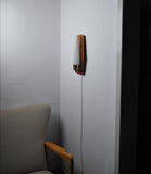 Scandinavian Modern Danish Wall Light in Teak, Brass and Opaline Glass, 1960s