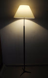 Danish Modern Teak floor lamp with brass details, 1960s