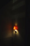 Mid-Century Modern Danish teak and copper wall sconce, 1950s