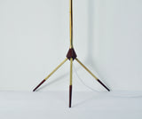 Mid-Century Modern Tripod Floor Lamp in Brass and Teak