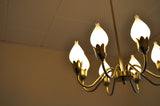 Tulip chandelier by Fog & Mørup